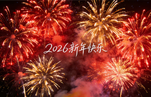 麗水威儀自動(dòng)化技術(shù)有限公司祝大家新年快樂(lè)！